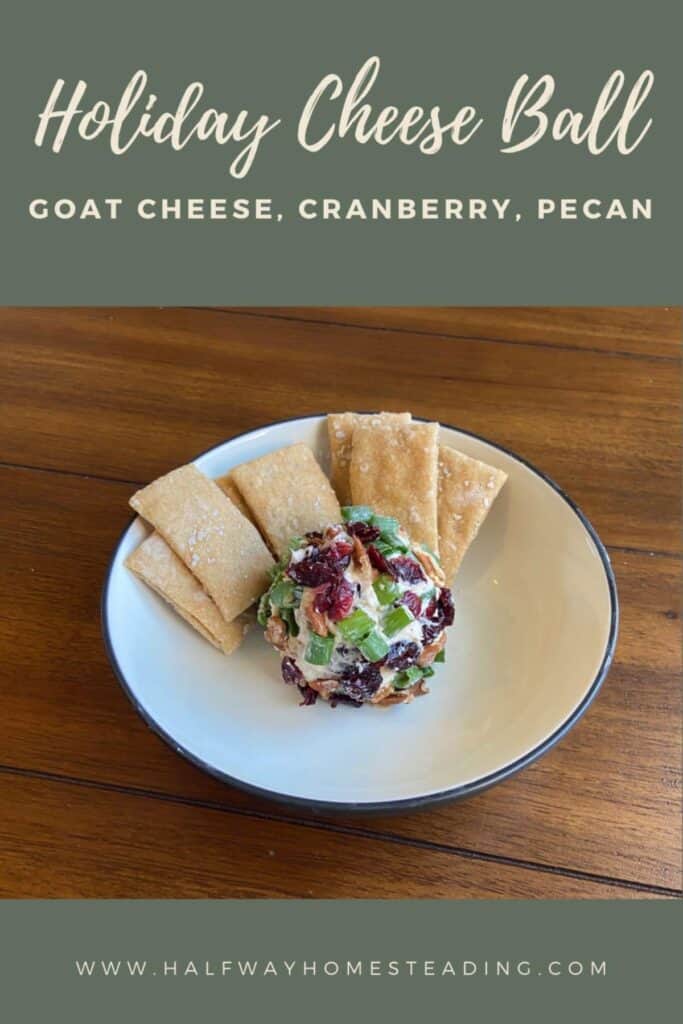 Goat cheese ball coated in cranberries, pecans, and green onion #cheeseball #holiday #snack #easyrecipes